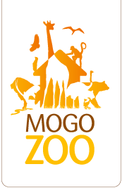 Mogo Zoo - Accommodation Newcastle